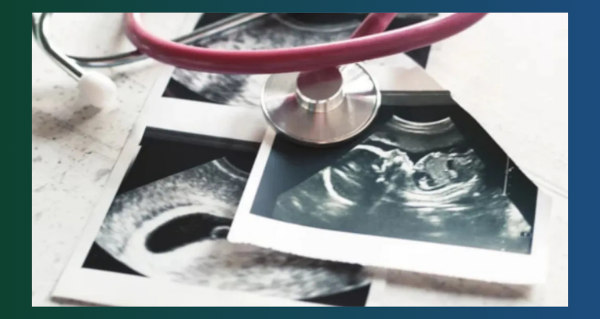 Watch | Life, limits, and the Alberta majority by Richard Dur | Juno News