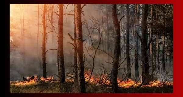 Article | PINDER: Canada's wildfires are fueling climate politics — and Alberta's independence movement by Herb Pinder ! Western Standard